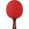 Ракетка для н/т DOUBLE FISH 7A+C, для професс.,ITTF Appr.,накл.2,1мм,+ 2 мяча V40+мм ITTF Appr за 3&nbsp;559.80 ₽ купить в Йошкар-Оле