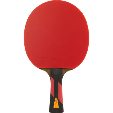Ракетка для н/т DOUBLE FISH 7A+C, для професс.,ITTF Appr.,накл.2,1мм,+ 2 мяча V40+мм ITTF Appr за 3&nbsp;559.80 ₽ купить в Йошкар-Оле