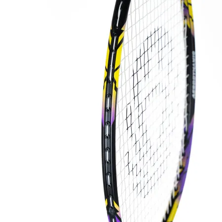 Ракетка бадм. TORRES Carbon PRO6, BD20521,для продв., стерж/обод из карбона,со струнами, фиол за 4&nbsp;477.80 ₽ купить в Йошкар-Оле