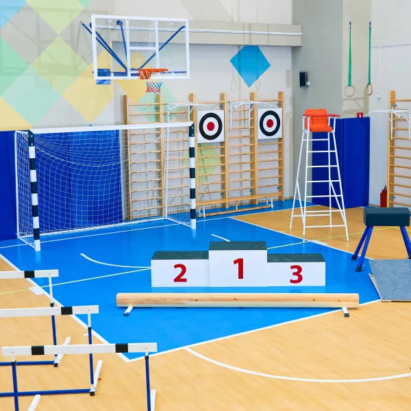 Щит для метания навесной на шведскую стенку (фанера) 700х700 ZAVODSPORTA за 8&nbsp;960 ₽ в Йошкар-Оле