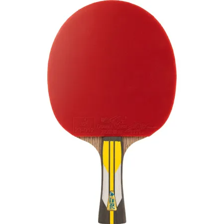 Ракетка для н/т DOUBLE FISH 6A+C, для подвин.,ITTF Appr.,накл. 2,1 мм, конич. ручка+ 2 мяча V40+мм за 3&nbsp;442.50 ₽ купить в Йошкар-Оле