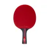 Ракетка для н/т TORRES Sport 1*, TT23005 для любителей, накладка 1,5 мм, конич. ручка за 991.10 ₽ купить в Йошкар-Оле
