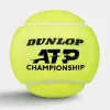 Мяч теннисный Dunlop ATP Championship 4B, 601627, уп.4ш, одобр. ITF, нат.резина,фетр. за 1&nbsp;242.70 ₽ купить в Йошкар-Оле