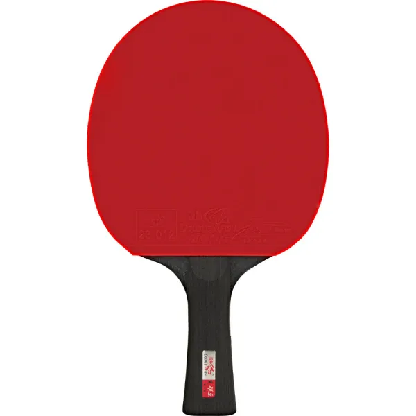 Ракетка для н/т DOUBLE FISH Black Carbon King Racket 5*****, для професс.,ITTF Appr.,накл.2,1,мм за 6&nbsp;434.50 ₽ в Йошкар-Оле