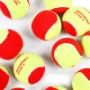 Мяч теннисный детский NS Red, 5021009, уп.12 шт, резина, шерть, нейлон, желто-красный за 2&nbsp;941 ₽ купить в Йошкар-Оле