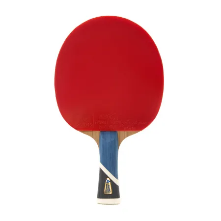 Ракетка для н/т DOUBLE FISH 5A+C, для продвин, ITTF Appr, накл. 2,1 мм, конич. ручка+ 2 мяча V40+мм за 2&nbsp;779.50 ₽ купить в Йошкар-Оле