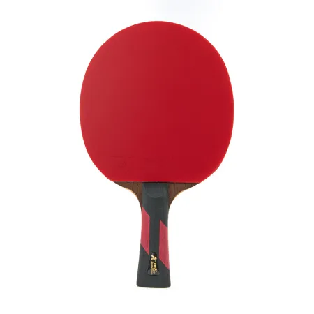 Ракетка для н/т DOUBLE FISH 7A+C, для професс.,ITTF Appr.,накл.2,1мм,+ 2 мяча V40+мм ITTF Appr за 3&nbsp;559.80 ₽ купить в Йошкар-Оле