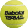 Мяч теннисный BABOLAT Team All Court,502081, уп.4 шт,одобр.ITF, сукно, нат.резина,желтый за 2&nbsp;385.10 ₽ купить в Йошкар-Оле