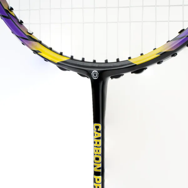Ракетка бадм. TORRES Carbon PRO6, BD20521,для продв., стерж/обод из карбона,со струнами, фиол за 4&nbsp;477.80 ₽ в Йошкар-Оле