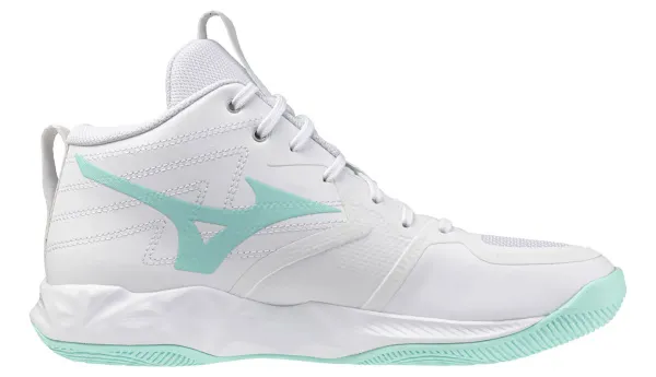 V1GC2545-45 1